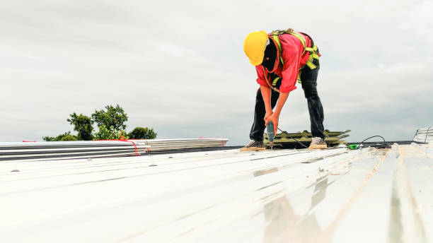 Best Chimney Flashing Repair  in South Riding, VA